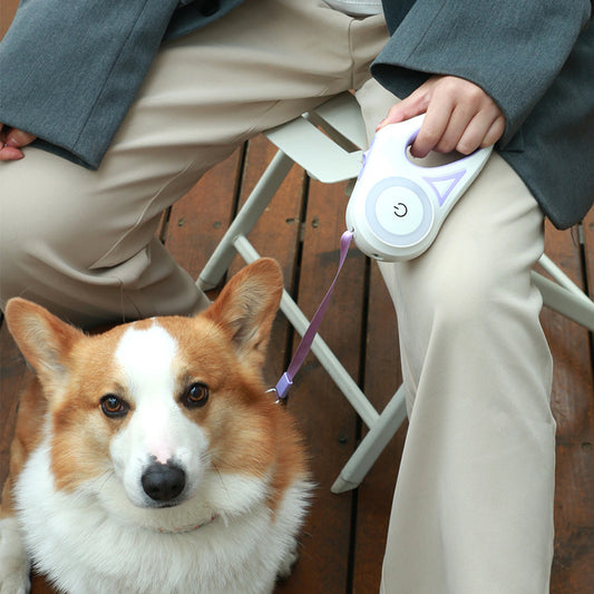 Glow retractable dog leash